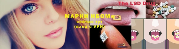 Альфа ПВП Арсеньев