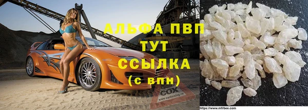 СК Аркадак