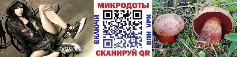 купить закладку  Сергач  Галлюциногенные грибы MAGIC MUSHROOMS 