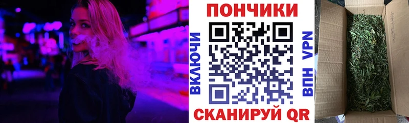Конопля сатива Сергач
